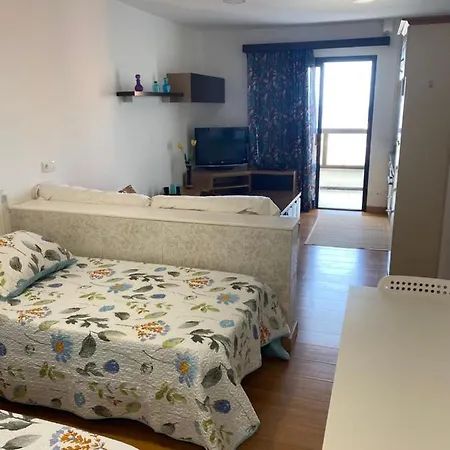 Bonito Estudio Céntrico Apartamento